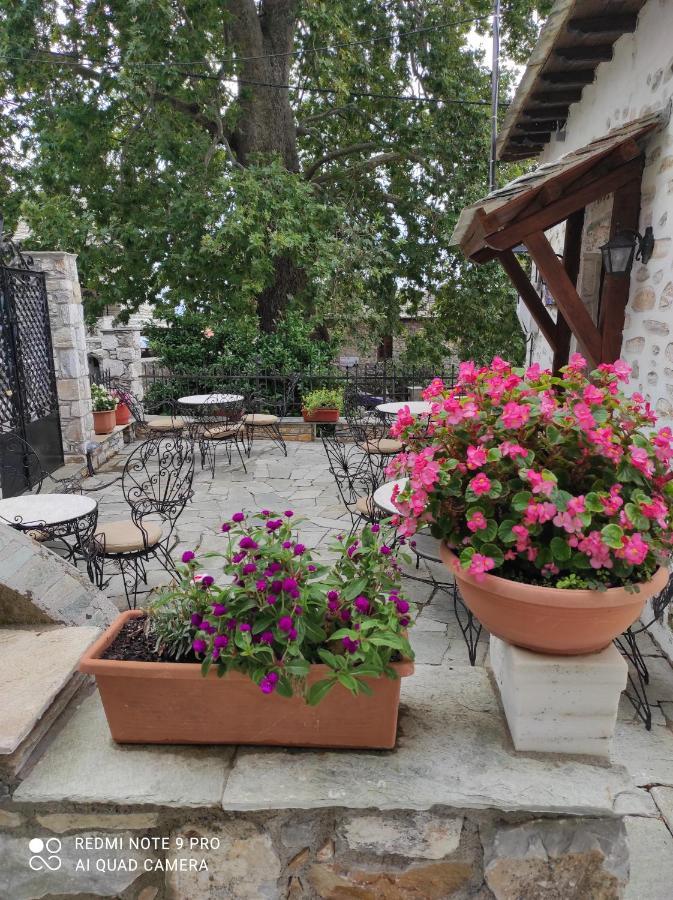 Hotel Θετισ Vyzítsa Exterior foto